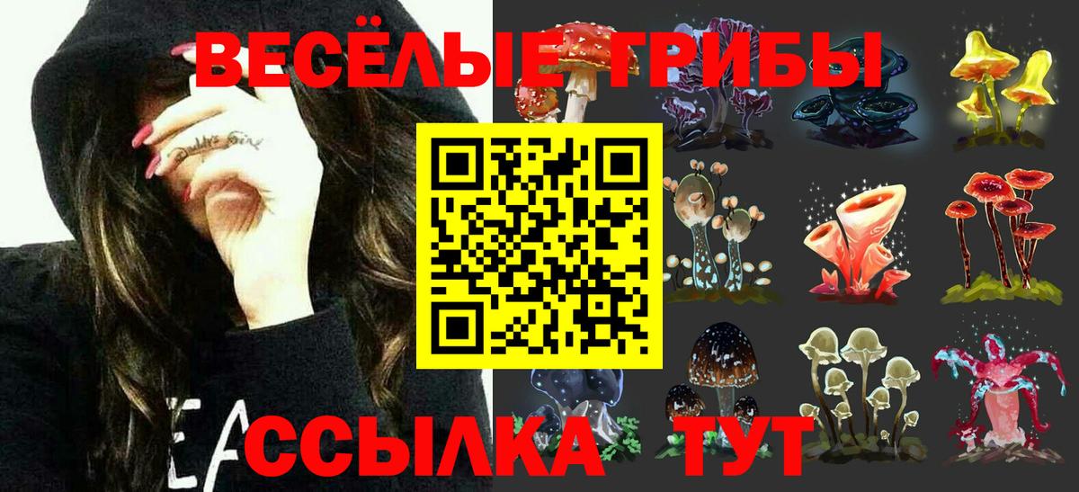 купить  цена  Галлюциногенные грибы ЛСД  Вход с VPN  Топки 
