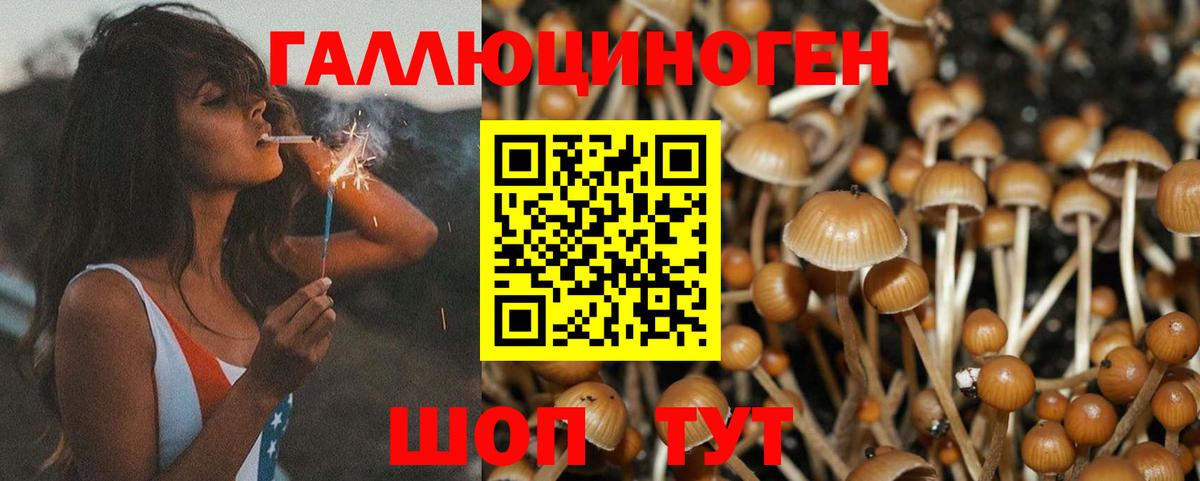 Галлюциногенные грибы Magic Shrooms Топки